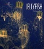 Jellyfish (Paperback) - Melissa Gish Photo