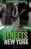 Streets of New York, Volume III (Paperback) - Erick S Gray Photo