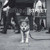 Mastering Street Photography (Paperback) - Brian Lloyd Duckett Photo