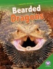 Bearded Dragons (Hardcover) - Jody Jensen Shaffer Photo