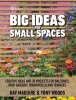 Big Ideas for Small Spaces - Creative Ideas and 30 Projects for Balconies, Roof Gardens, Windowsills and Terraces (Paperback) - Kay Maguire Photo