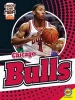 Chicago Bulls (Hardcover) - Josh Anderson Photo