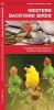 Western Backyard Birds: A Folding Pocket Guide to Familiar Urban Species (Paperback) - James Kavanagh Photo