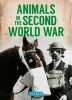 Animals in the Second World War (Paperback) - Peter Street Photo