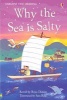 Why is the Sea Salty? (Hardcover) - Rosie Dickins Photo