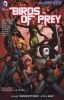 Birds of Prey, Volume 1 - Trouble in Mind (Paperback) - Jesus Saiz Photo