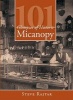 101 Glimpses of Historic Micanopy (Paperback) - Steve Rajtar Photo