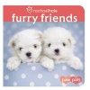 Furry Friends (Board book) - Rachael Hale Photo