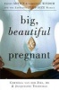 Big, Beautiful and Pregnant - Expert Advice and Comforting Wisdom for the Expecting Plus-Size Woman (Paperback) - Jacqueline Tourville Photo