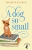 A Dog So Small (Paperback) - Philippa Pearce Photo