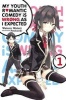 My Youth Romantic Comedy is Wrong, as I Expected, Vol. 1 - (Novel) (Paperback) - Wataru Watari Photo