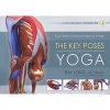 Key Poses of Yoga - Your Guide to Functional Anatomy in Yoga (Paperback) - Ray Long Photo