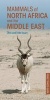 Mammals of North Africa and the Middle East (Paperback) - Chris Stuart Photo