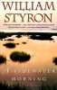 A Tidewater Morning - Three Tales from Youth (Paperback, 1st Vintage International ed) - William Styron Photo