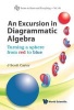 An Excursion in Diagrammatic Algebra: Turning a Sphere from Red to Blue (Hardcover) - J Scott Carter Photo