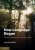 How Language Began - Gesture and Speech in Human Evolution (Paperback, New) - David McNeill Photo