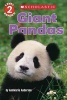 Giant Pandas (Paperback) - Annmarie Anderson Photo