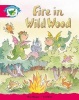 Literacy Edition Storyworlds Stage 5, Fantasy World, Fire in Wild Wood (Paperback) -  Photo