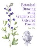 Botanical Drawing Using Graphite and Coloured Pencils (Paperback) - Sue Vize Photo