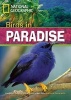 Birds in Paradise (Paperback) - Rob Waring Photo