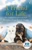 A Friend for Life (Paperback) - Battersea Dogs Cats Home Photo