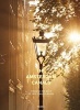 Amsterdam Canals - Through the Eyes of  (English, Ansus, Dutch, Hardcover) - Cris Toala Olivares Photo