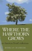 Where the Hawthorn Grows - An American Druid's Reflections (Paperback) - Morgan Daimler Photo