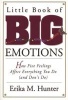 Little Book of Big Emotions - How Five Feelings Affect Everything You Do (and Don't Do) (Paperback) - Erika M Hunter Photo