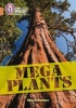 Mega Plants - Band 12/Copper (German, Paperback) - Steve Parker Photo