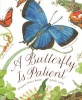 Butterfly Is Patient (Hardcover) - Dianna Hutts Aston Photo