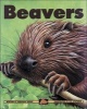 Beavers (Paperback) - Deborah Hodge Photo