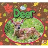 Deer (Paperback) - Samantha Nugent Photo