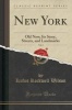 New York, Vol. 2 - Old New; Its Story, Streets, and Landmarks (Classic Reprint) (Paperback) - Rufus Rockwell Wilson Photo