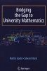 Bridging the Gap to University Mathematics (Paperback, 2009) - Edward Hurst Photo