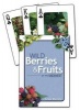 Wild Berries & Fruits of the Midwest Playing Cards (Cards) - Teresa Marrone Photo