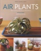 Air Plants - The Curious World of Tillandsias (Paperback) - Zenaida Sengo Photo