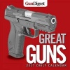  Great Guns 2017 (Calendar, 6th) - Gun Digest Photo