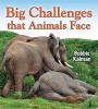 Big Challenges That Animals Face (Paperback) - Bobbie Kalman Photo