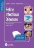 Feline Infectious Diseases - Self-Assessment Color Review (Paperback) - Katrin Hartmann Photo