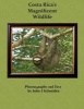 Costa Rica's Magnificent Wildlife (Paperback) - John J Schneider Photo