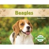 Beagles (Beagles ) (English, Spanish, Hardcover) - Grace Hansen Photo