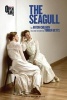 The Seagull (Paperback) - Torben Betts Photo