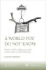 A World You Do Not Know - Settler Societies, Indigenous Peoples and the Attack on Cultural Diversity (Paperback, New) - Colin Samson Photo