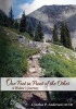 One Foot in Front of the Other - A Widow's Journey (Paperback) - Cynthia P Anderson Licsw Photo