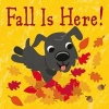 Fall Is Here! (Board book) - Fhiona Galloway Photo