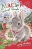 Pippa Hoppytail's Rocky Road, Book 21 (Paperback) - Daisy Meadows Photo