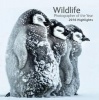 Wildlife Photographer of the Year - 2016 Highlights (Paperback) - Rosamund Kidman Cox Photo