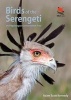 Birds of the Serengeti - and Ngorongoro Conservation Area (Paperback, New) - Adam Scott Kennedy Photo