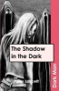 The Shadow in the Dark, v. 13 (Paperback) - Peter Lancett Photo