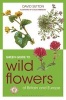 Green Guide to Wild Flowers of Britain and Europe (Paperback) - Colin Emberson Photo